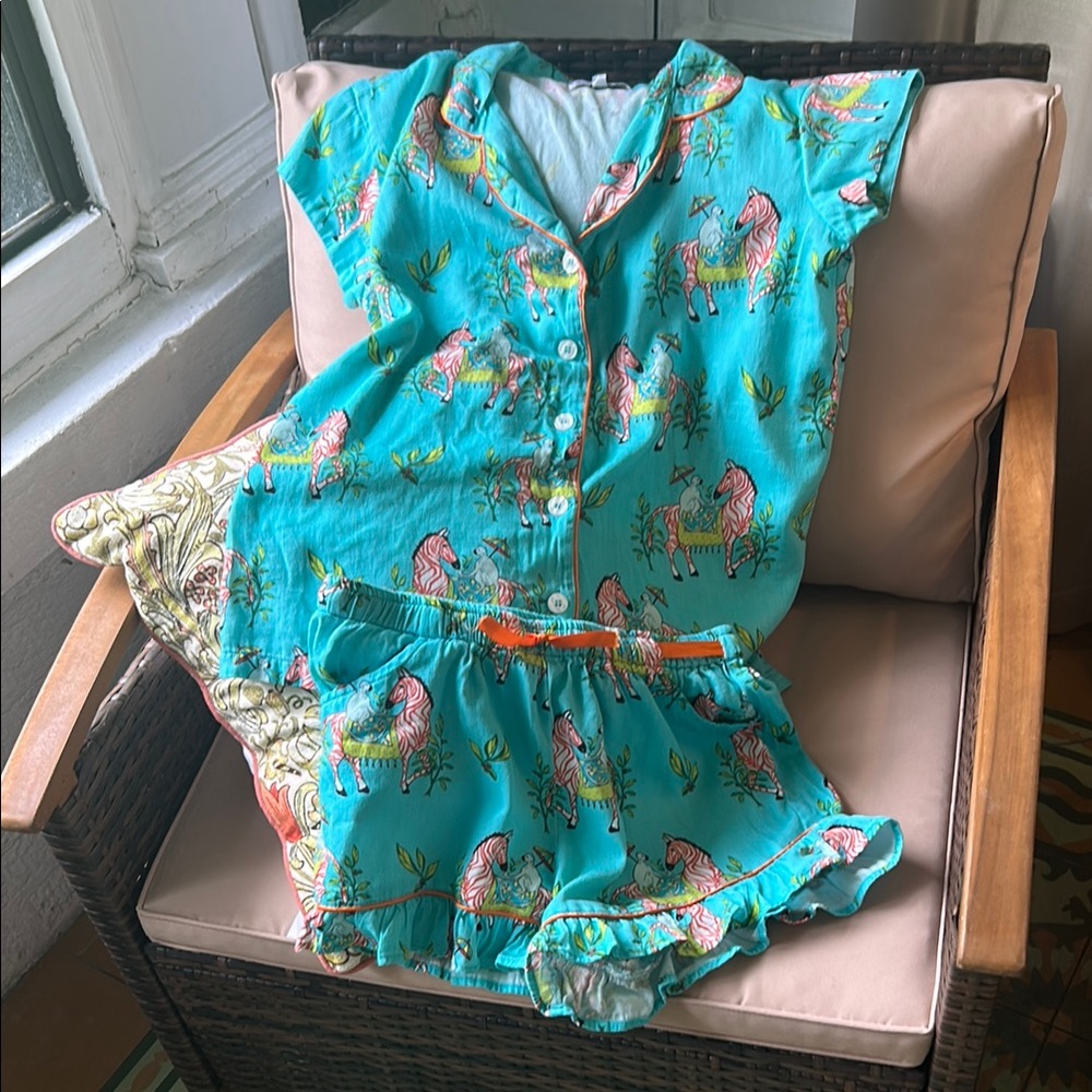 Jaye's Studio Ladies XSMALL fits a 2-4 with Zebra Print in Teal cute! pockets!!